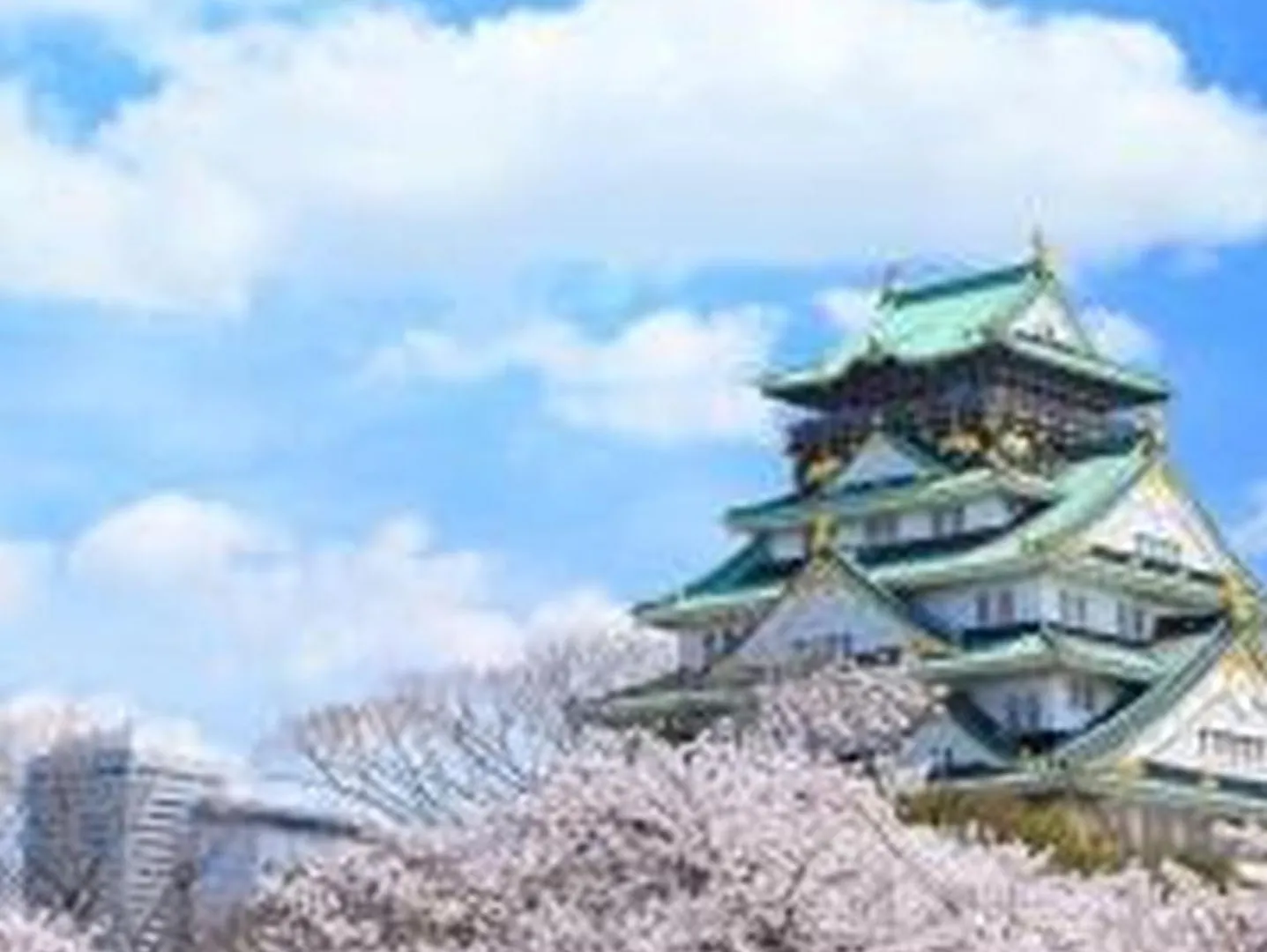 コンフィデンスロン1001 Apartamento Osaca Japão